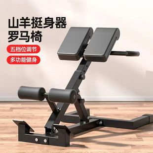 Roman Chair Home Goat Lift Adjustable Waist Back Abdominal Muscle Multi-Functional Trainer Professional Fitness Equipment