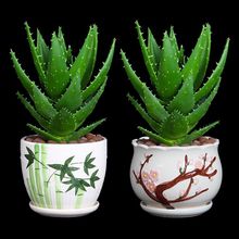 �J�C�����҃�����ȩ���B����ֲ���k���ҷ�ݗ������՚�����С�Gֲ