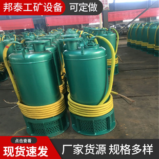 BQS60-60-22/N�и�ʽ��ˮ��380/660vBQS�������۱õVɽ����