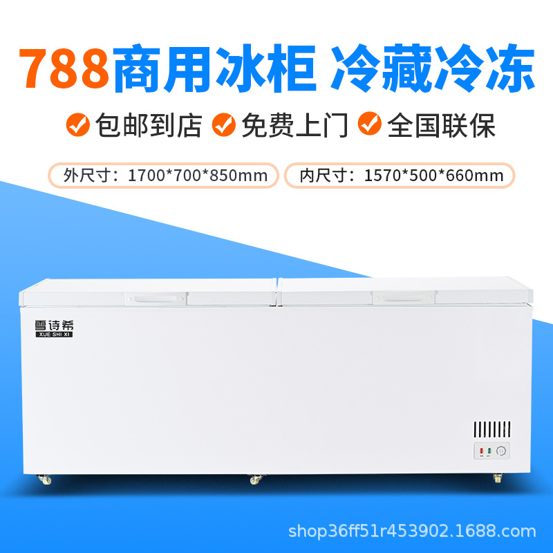 Congelador Xueshixi Congelador comercial horizontal de gran capacidad refrigerado Congelador grande de doble uso Refrigerador de temperatura simple y doble