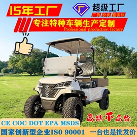 电动观光车;其他电动车;高尔夫球车