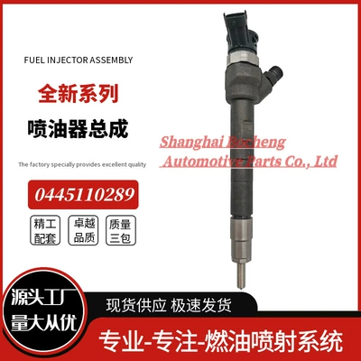 0445110338 New Common Rail Oil pump, nozzle