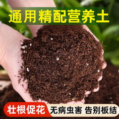 营养土养花专用种菜种花多肉植物有机泥炭土种植花土壤绿植花卉