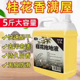 2.5kg Packs of Osmanthus Floor Cleaning Liquid for Cleaning Floor Tiles, One-Mop Clean, Long-Lasting Fragrance, Household Cleaning Agent