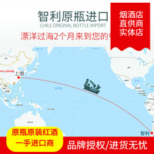 智利原瓶原装干红葡萄酒 总代理 批发 酒庄酒 直销 上海实体经营