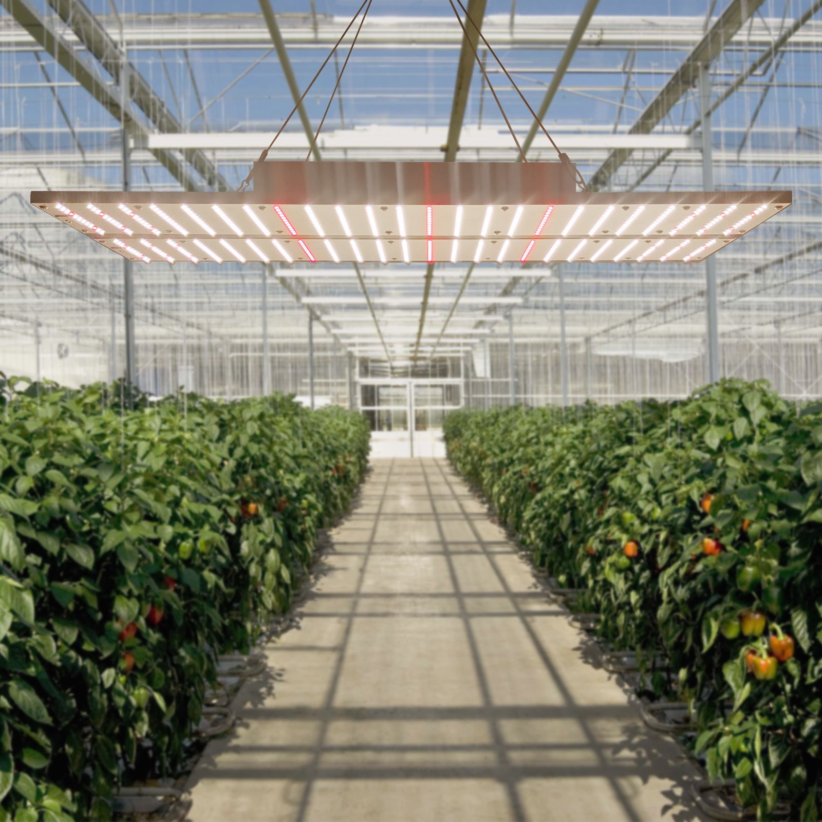 ȫ׷ˮ240W LEDӰֲƿɵʺҴﲹ