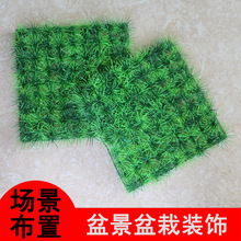 �o���Ƥ��Gɫ���ϲ��b����Ԉ��ز�����ƺ������ܼٻ�ֲ��