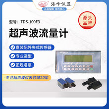 大连海峰TDS-100F3流量计外夹式插入式管段式传感器高精度测量