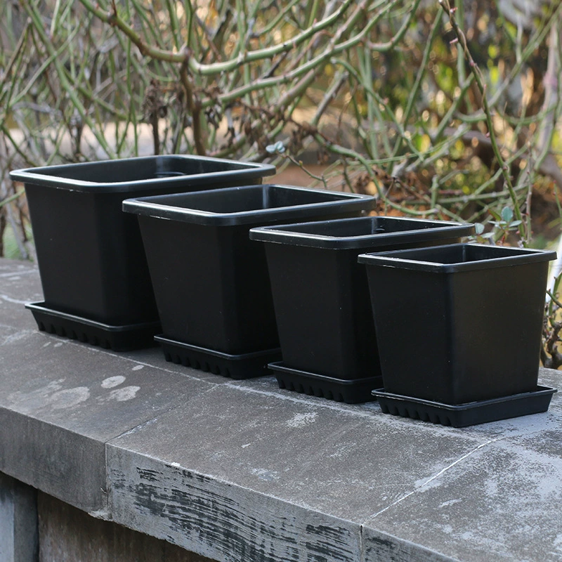 Квадратный пластиковый мясистый горшок маленький квадратный горшок большой старый ворс корейский кактус черный утолщенный горшок для рассады