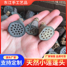 原色干莲蓬艺术造型真带籽莲蓬干花杆圣诞装饰小莲蓬植物拍摄道具