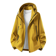 ��������L��������Ů�_�h��logo���ƹ��b�F���¿����e���A�˳���