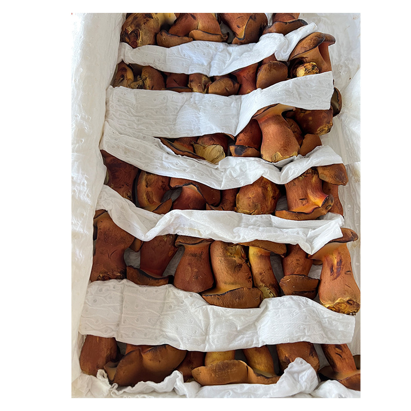 엄선된 1000g 식재 Jianshouqing/SF 항공 운송