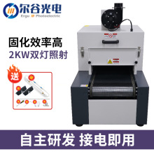 RX300-2桌面式UV固化炉 医疗导管无影胶粘接UV光固化机紫外线UV机