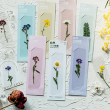 PET透明书签 干花压花过塑植物标本文艺简约创意手账阅读书夹 7款