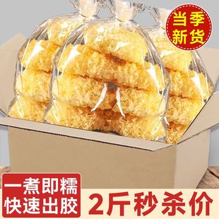 ���o��������ش��y����؛�o��Ѭ���r��ľ������Ŵ��ɏ�����l