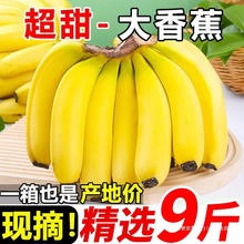 ��ϸ�ɽ���㽶10�����rˮ�������Fժ�Ž�С�׽����㽶������Ȼ��