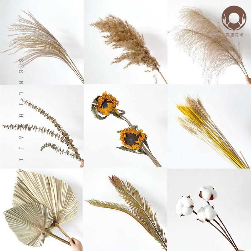 reed Dried flowers Whisk Barley Eucalyptus Sunflower wedding Iron leaves Cotton Pushan On behalf of