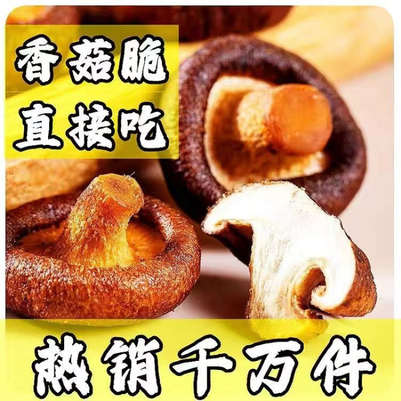 라지 [블랙 트러플 크리스피 머쉬룸] - 이벤트 핫 세일 : 2봉 구매시 + 1봉 증정 [3봉 발송]