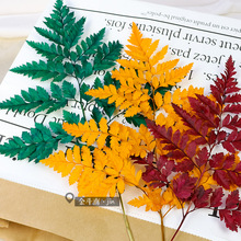 ��ɽ���Xާ�~�ɻ��������F��ާ�ֲ��˱����΢���^�廨DIY����