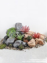 ĭʯ^[@ּʯ^Ĕz҃ȵģ쾰ͥԺ