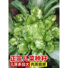 ���˷N�ӽ�˷N�ь������＾���ݲ��߲��Ĵ��ش����ݲˌ����S��