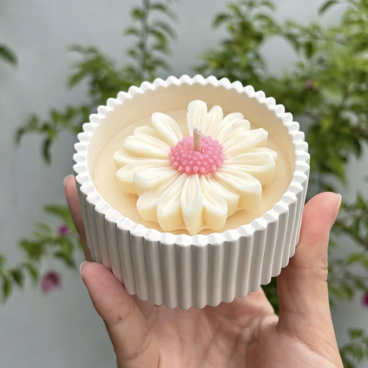 Estambres de margarita blanca y rosa (fragancia: pera y fresia)