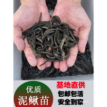 ̨q~籾qqr~Bֳˮ~