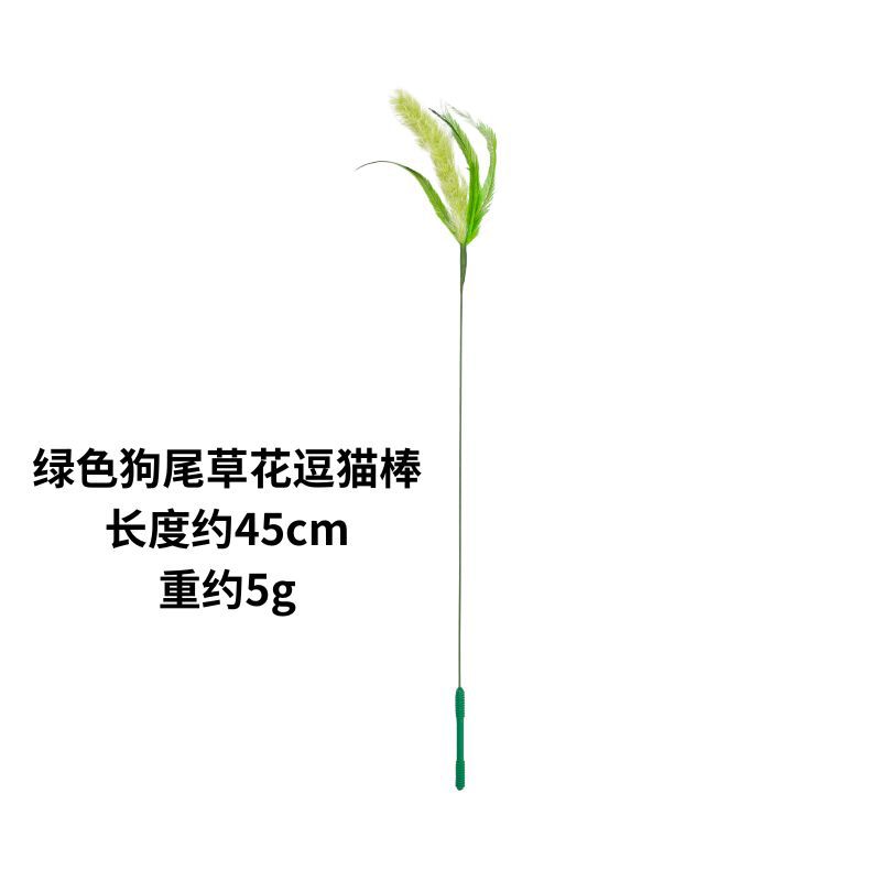녹색 세타리아 꽃 고양이 웃긴 스틱