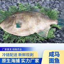 Ȫ�ݵص���ζ���R���~���y���ƹ�ˇ�������~����r/���r