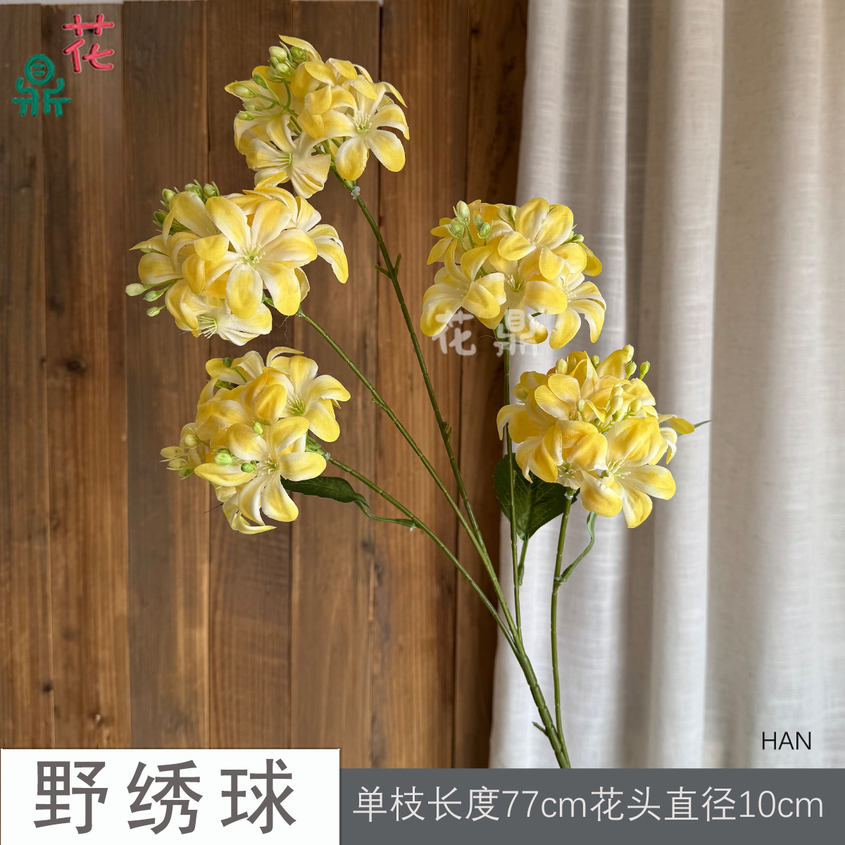 Hoa cẩm tú cầu HAN màu vàng