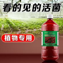 �Nֲ����em��Һ������ԭҺ�l�͏N����r�ø�������em���ѷʄ�����