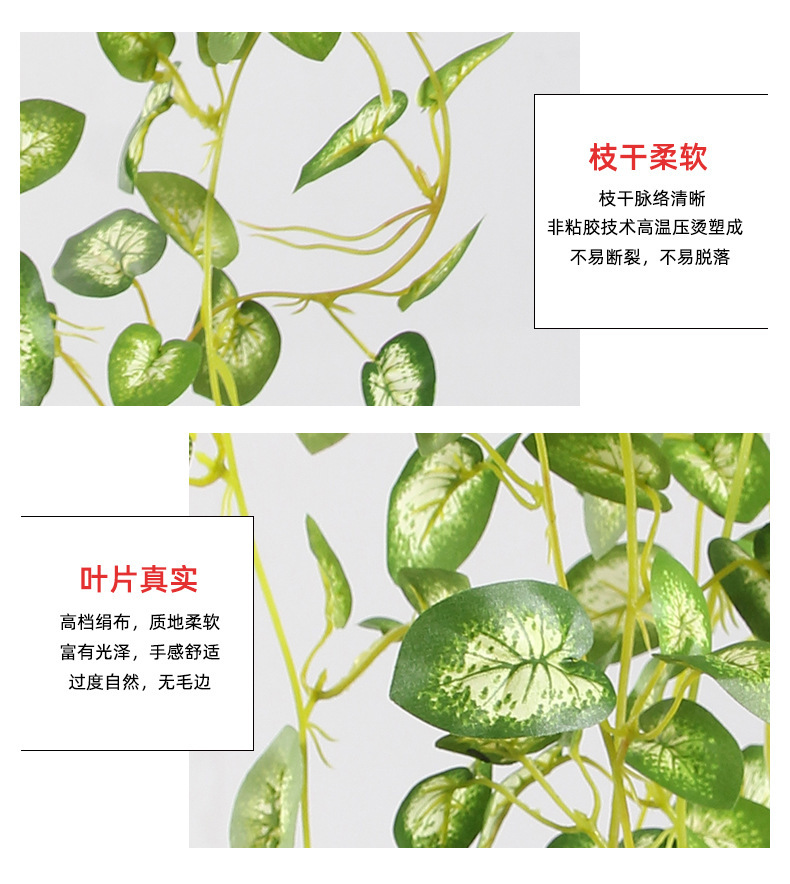 O1CN01c0FzfK1zidKHQgm8b_!!2159