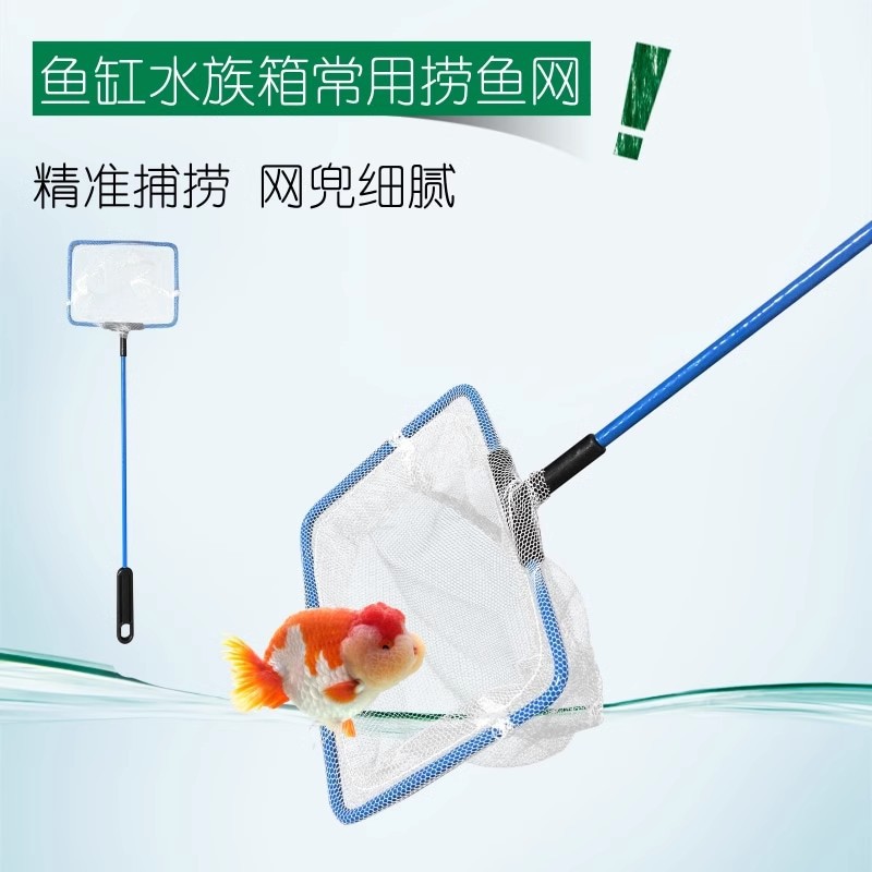 Wholesale Fish Lure Net Fishing Tool Fish Tank Supplies Aquatic Stainless Steel Fish Lure Aquatic Supplies