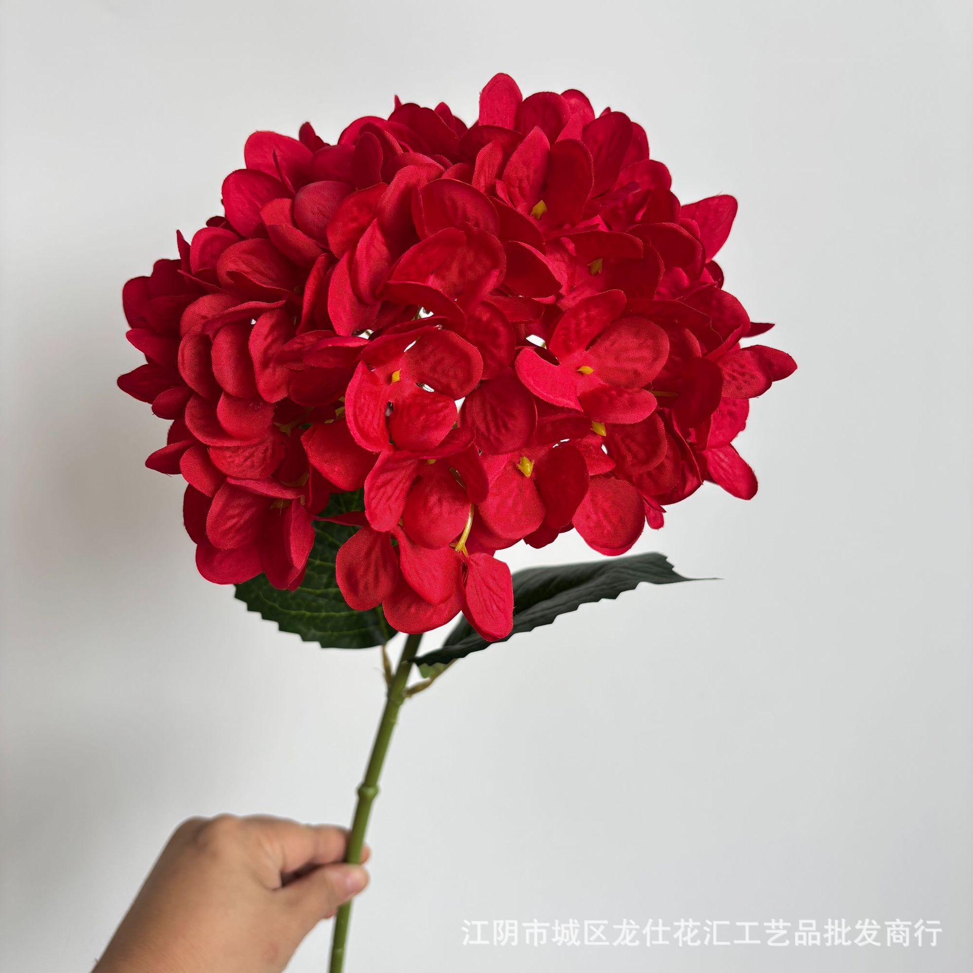 3D 프린팅 수국 천진