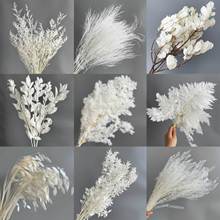 ɫϵиɻ滨ϏSֱNcYb횲R