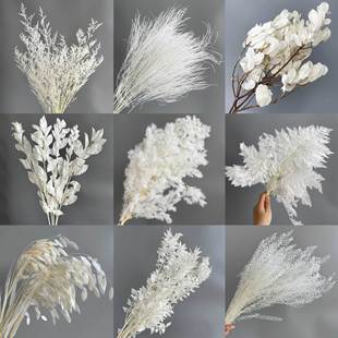 ��������ɫϵ�иɻ��滨��ϏS��ֱ�N��c��Y�b���횲����R��