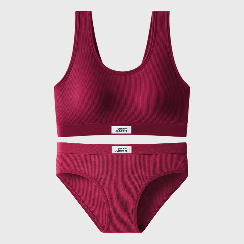 Nuevo traje de sujetador de las mujeres sexy cómodo espalda pequeño pecho push up anti-exposición deportes bottoming ropa interior