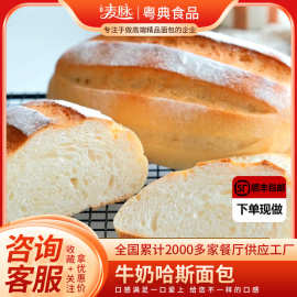 牛奶哈斯面包下午茶硬欧包西餐厅商用法式面包胚早餐面包饱腹代餐