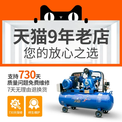 Spray Paint 7.5Kw Auto Repair — Hava kompressorları