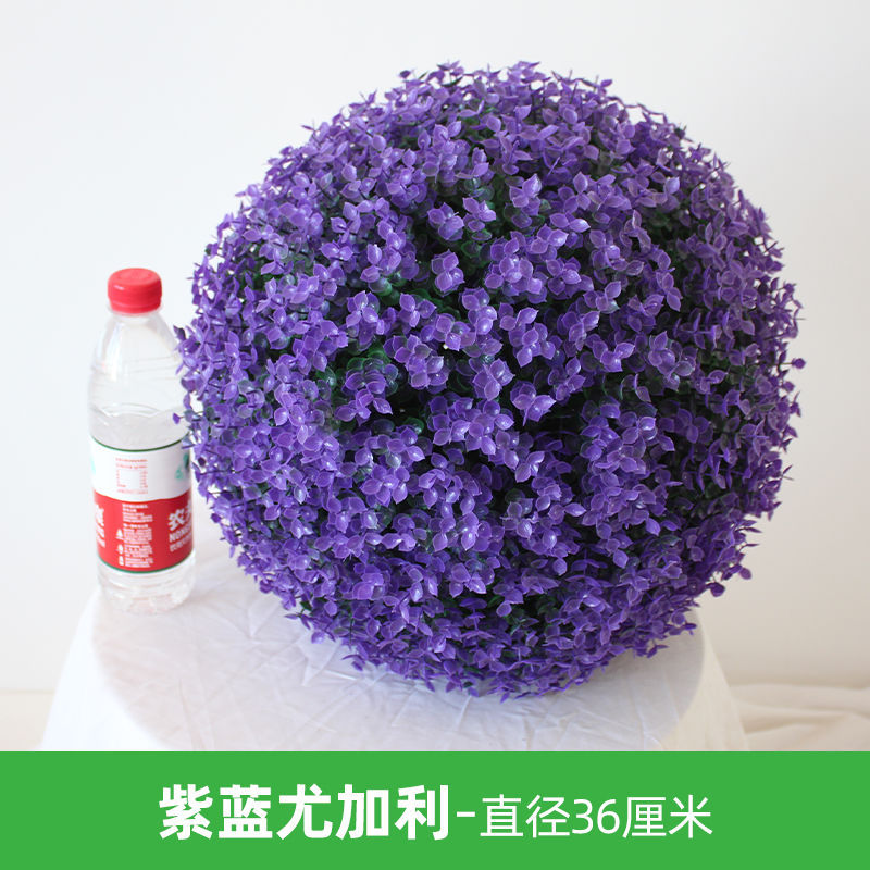 보라색 푸른 유칼립투스 잔디 공-직경 36cm