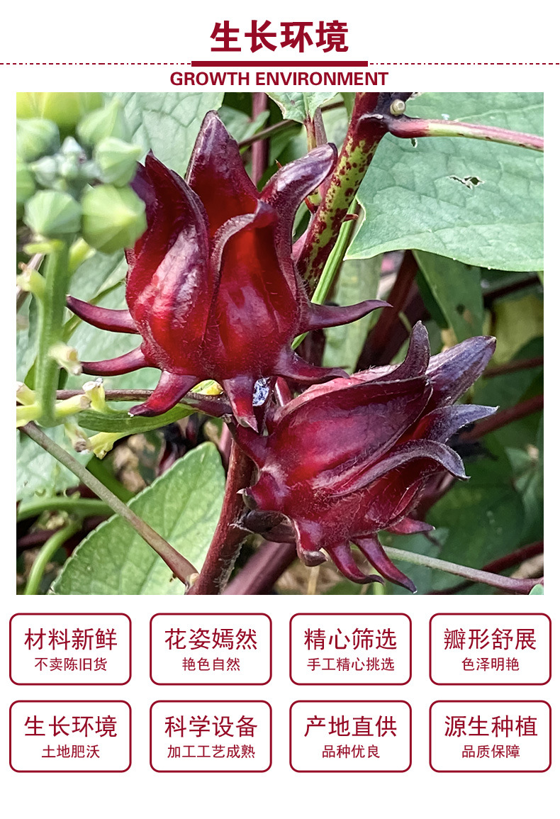 Roselle Dried Flowers (Hibiscus sabdariffa) — Yunnan Luoshenhua Herbal Tea, 100g Loose key features