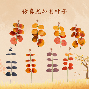 ���콹��ɫ���X�~�ȼ����~��c�廨�����֧�Gֲ�ȼ����~���c�b�