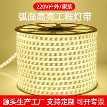 5730高压led灯带工程照明户外防水客厅吊顶氛围硅胶220v灯带插头