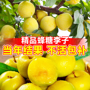 �������Ә������������Ե������A�ڲ�����Ʒ�N�ش�̖�ϱ����Nֲ