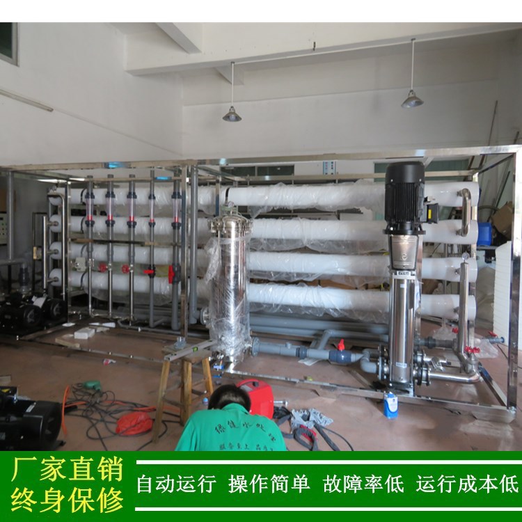 绿健广东纯水设备18t/h工业水处理RO装置反渗透机组全自动纯净水