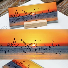 明信片;书签;试纸