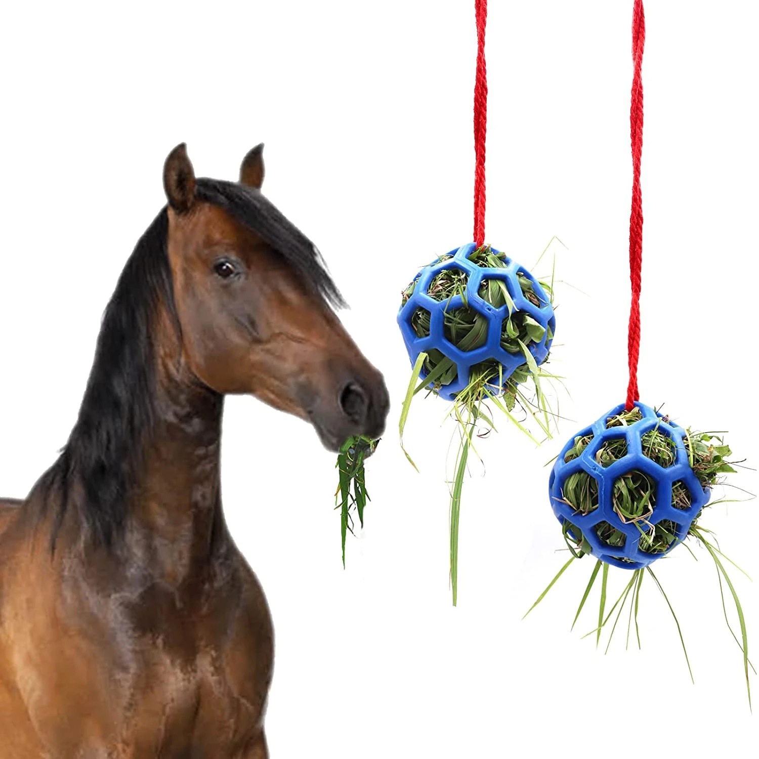 Horse Treat Ball 马厩悬挂干草喂食器玩具球喂马球 耐拉伸TPR球