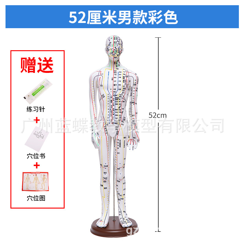 52CM ���������徭��Ѩλģ�� ���ͭɫ������ζʮ�ľ�����Ůģ��