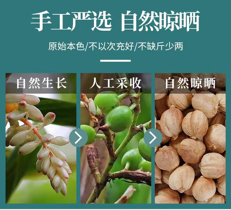 Bai Dou Kou (Amomum kravanh) — Dried White Cardamom Spice for Braising & Herbal Cooking key features