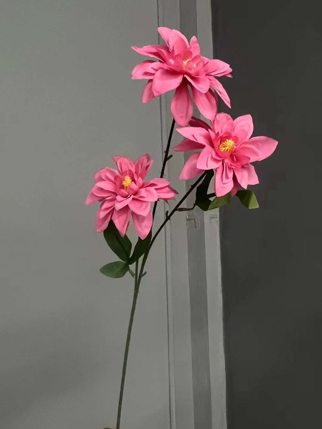 微信图片_20231012163600